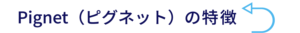 Pignet（ピグネット）の特徴