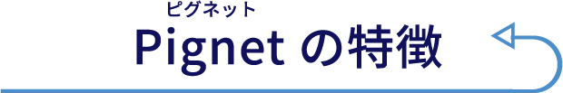 Pignet（ピグネット）の特徴