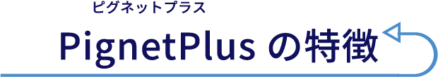 Pignet（ピグネット）プラスの特徴